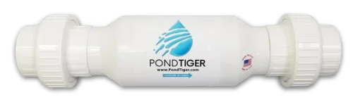 The Pond Tiger